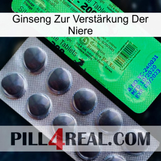 Ginseng Zur Verstärkung Der Niere new04